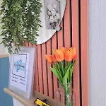 Apartment La Gravelinoise 1 Cosy Et Lumineux En Centre Gravelines